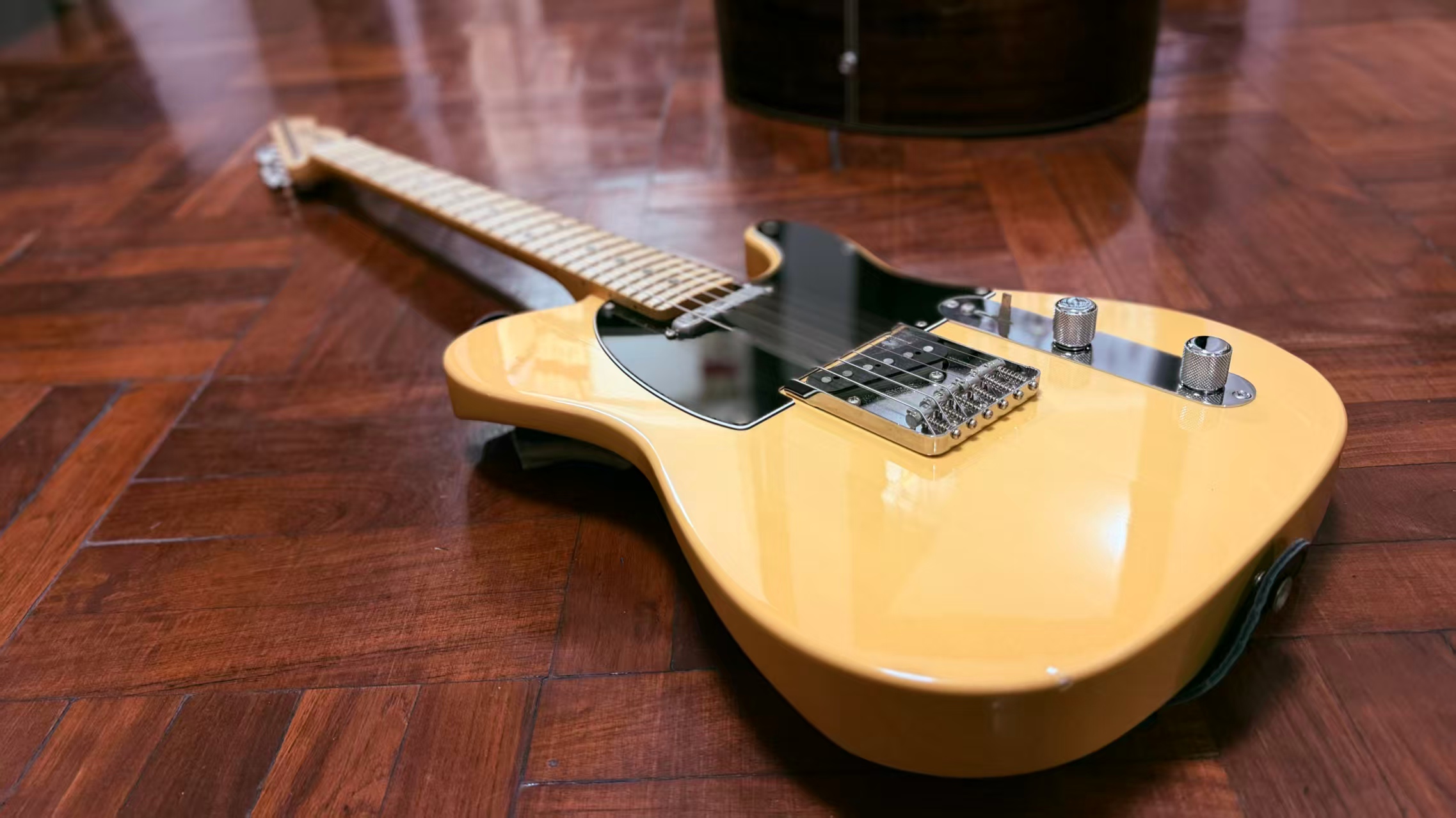 Fish Egg Tuner Interface Display